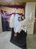 image015.jpg image015.jpg